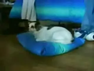 Mi online filmek xxx van 18 éves bébiszitter anális szépség szar